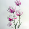 Soft pink tulips watercolor painting, elegant floral wall art for home decor.